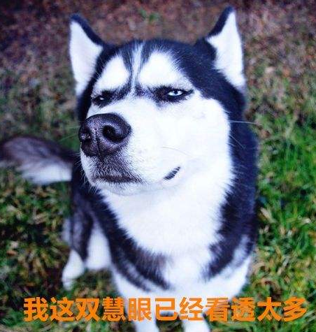 ƹؼ<a href=http://www.ka418.com target=_blank class=infotextkey>վŻ</a>ǩ