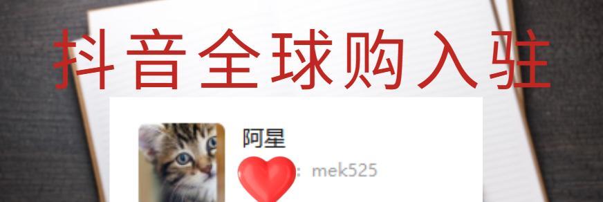 ֶ̽ȫЬѥ鴦ϸ򣨽ضȫЬѥƷۺȨ棩