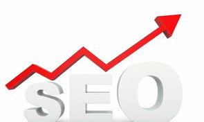  վ<a href=http://www.ka418.com target=_blank class=infotextkey>SEO</a>ŻҪעЩϸڣվ<a href=http://www.ka418.com target=_blank class=infotextkey>SEO</a>Żصʲô