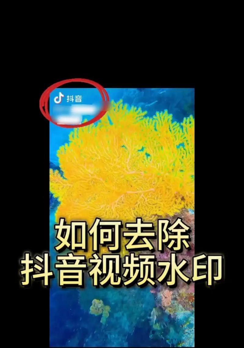 ƵȥˮӡɣοȥƵеˮӡ
